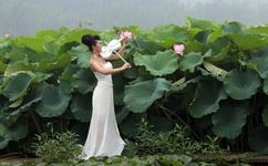 无人区码卡二卡1卡2卡动漫